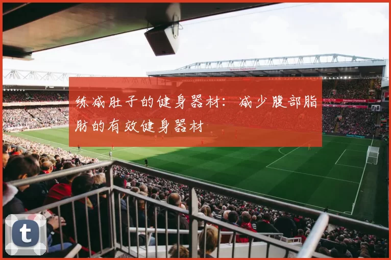 练减肚子的健身器材：减少腹部脂肪的有效健身器材