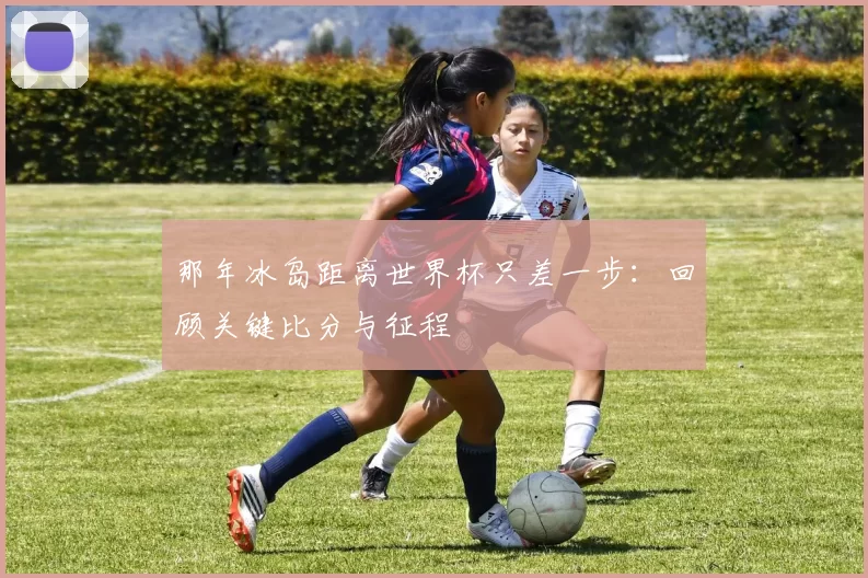 那年冰岛距离世界杯只差一步:回顾关键比分与征程