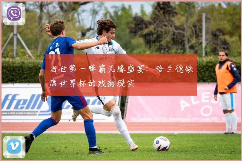 当世第一锋霸无缘盛宴：哈兰德缺席世界杯的残酷现实