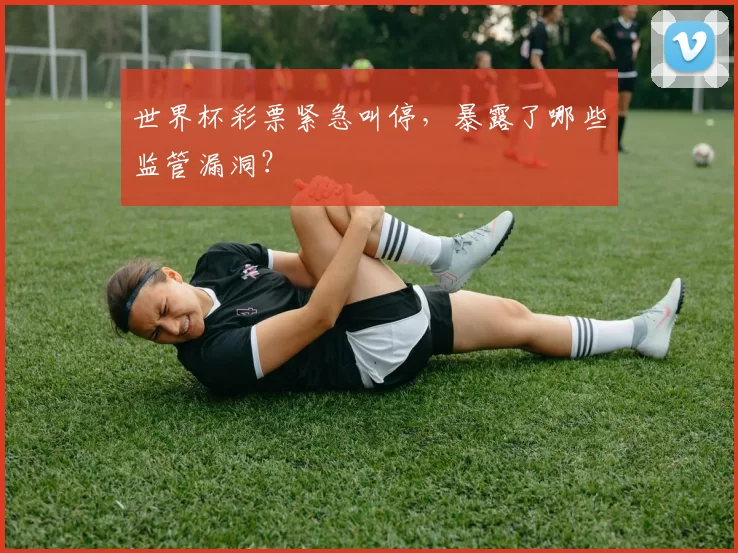 世界杯彩票紧急叫停,暴露了哪些监管漏洞?
