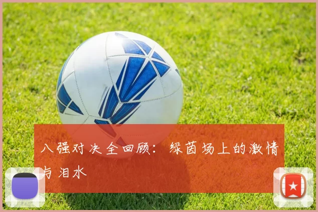 八强对决全回顾：绿茵场上的激情与泪水