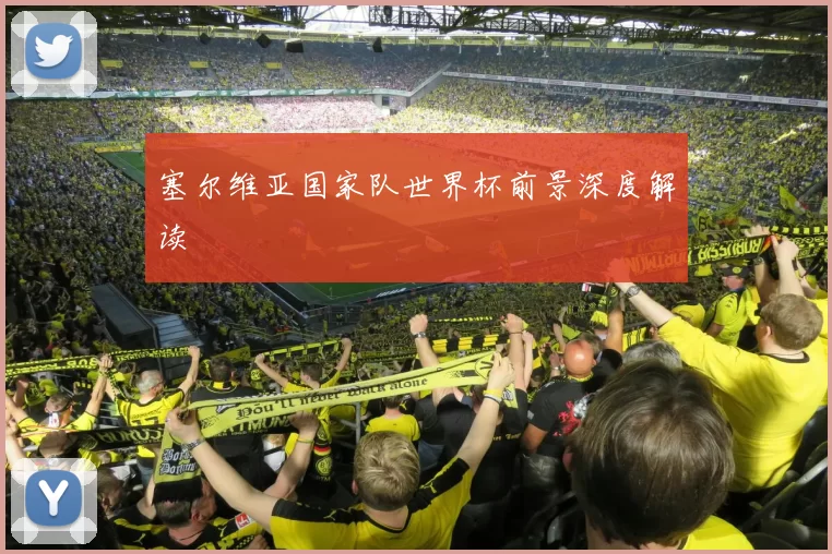 塞尔维亚国家队世界杯前景深度解读