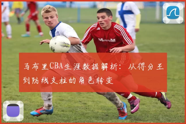 马布里CBA生涯数据解析:从得分王到防线支柱的角色转变