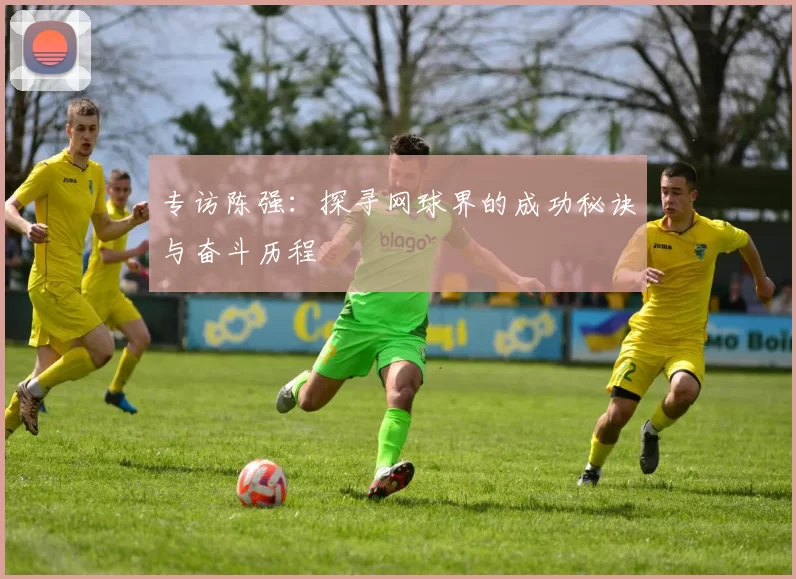 专访陈强：探寻网球界的成功秘诀与奋斗历程