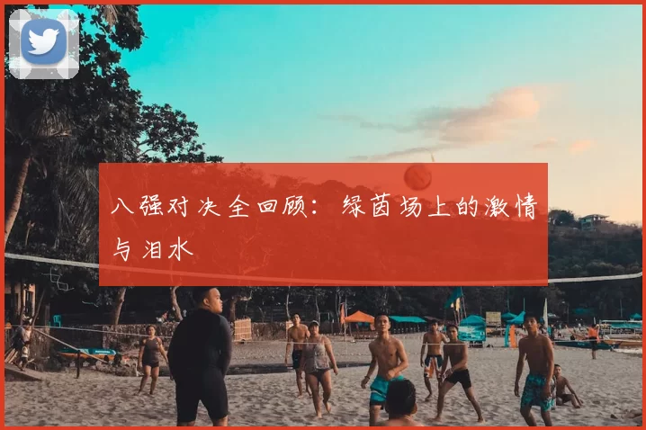 八强对决全回顾：绿茵场上的激情与泪水