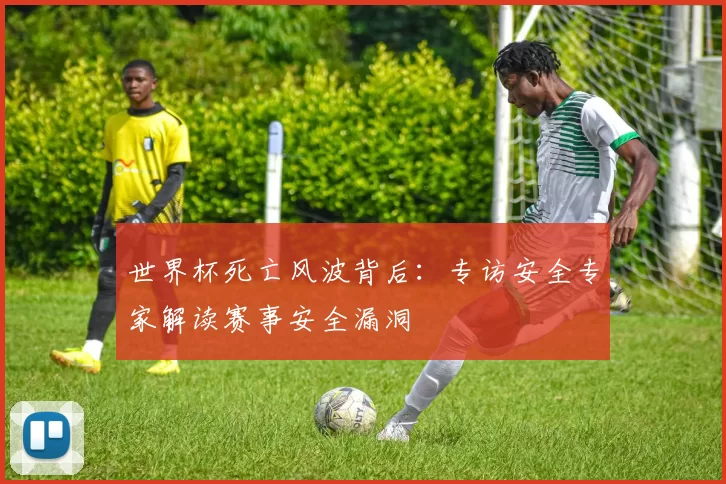 世界杯死亡风波背后：专访安全专家解读赛事安全漏洞