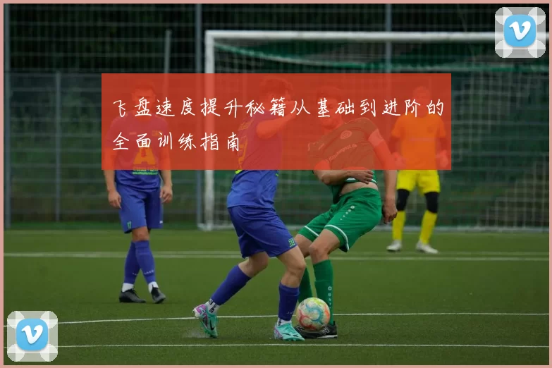 飞盘速度提升秘籍从基础到进阶的全面训练指南