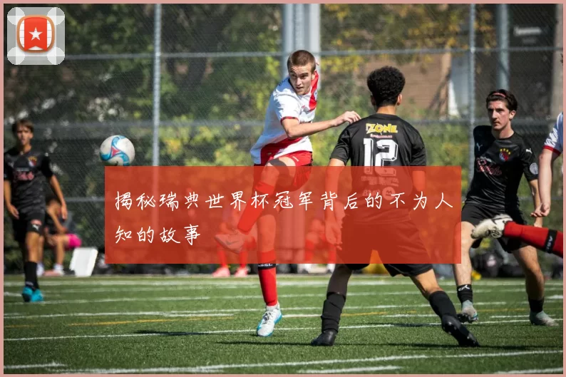 揭秘瑞典世界杯冠军背后的不为人知的故事