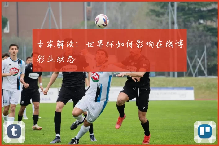 专家解读:世界杯如何影响在线博彩业动态