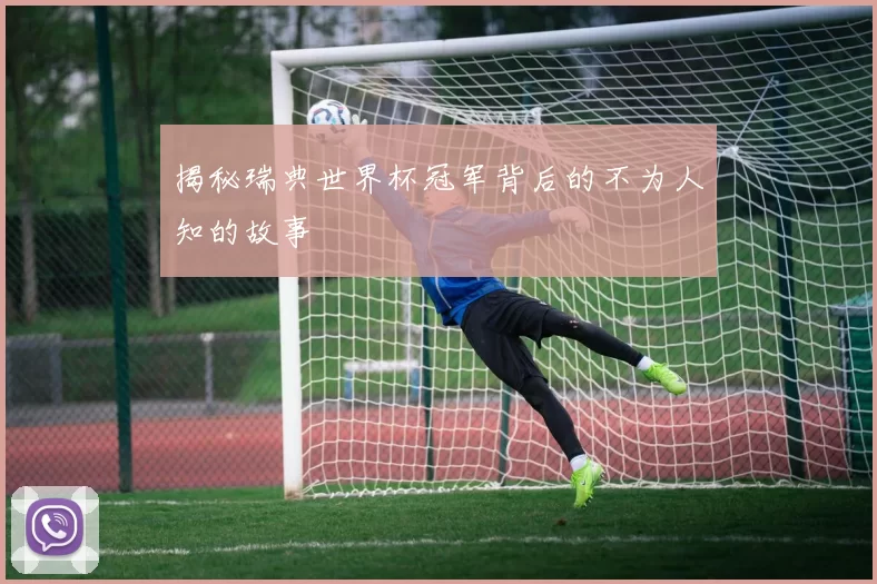 揭秘瑞典世界杯冠军背后的不为人知的故事