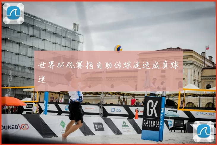 世界杯观赛指南助伪球迷速成真球迷