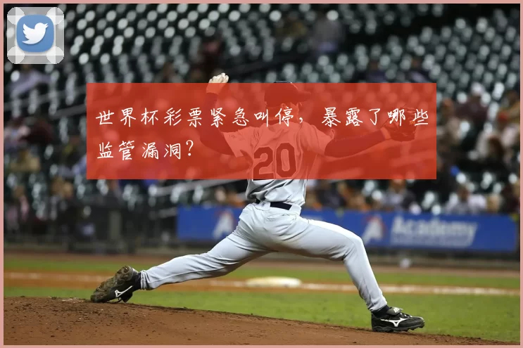 世界杯彩票紧急叫停,暴露了哪些监管漏洞?